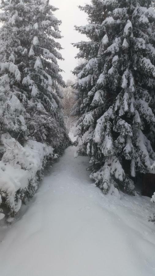 Chata Linia Kokava nad Rimavicou Bagian luar foto